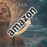 Tomo 2 Calma en la Tormenta (Versión impresa AMAZON)